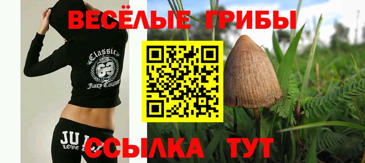 Галлюциногенные грибы мицелий Заводоуковск