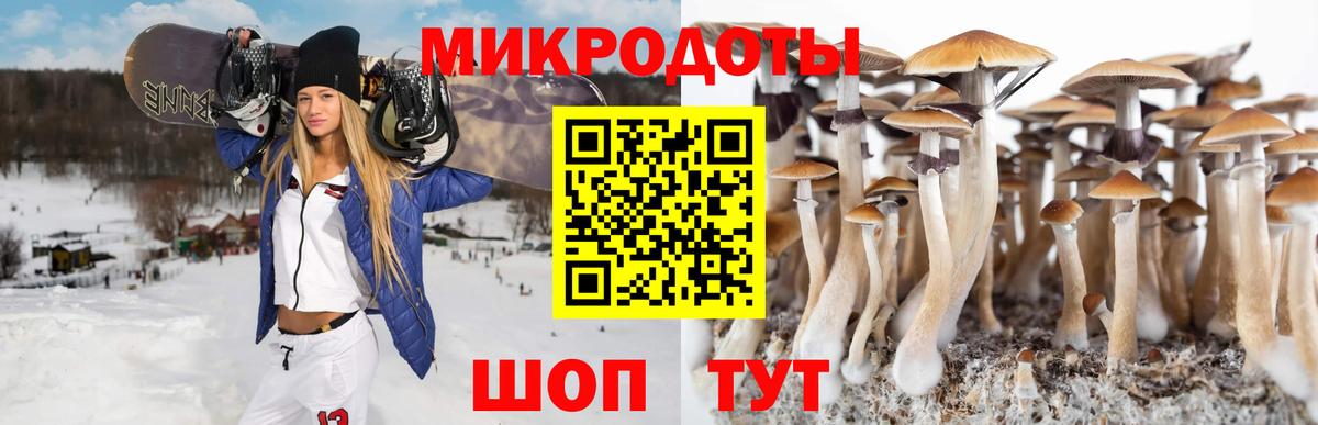 Заводоуковск  Галлюциногенные грибы Psilocybine cubensis  Вход с VPN 